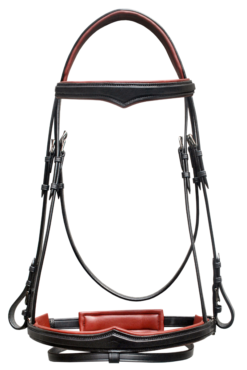 English leather bridle with padding